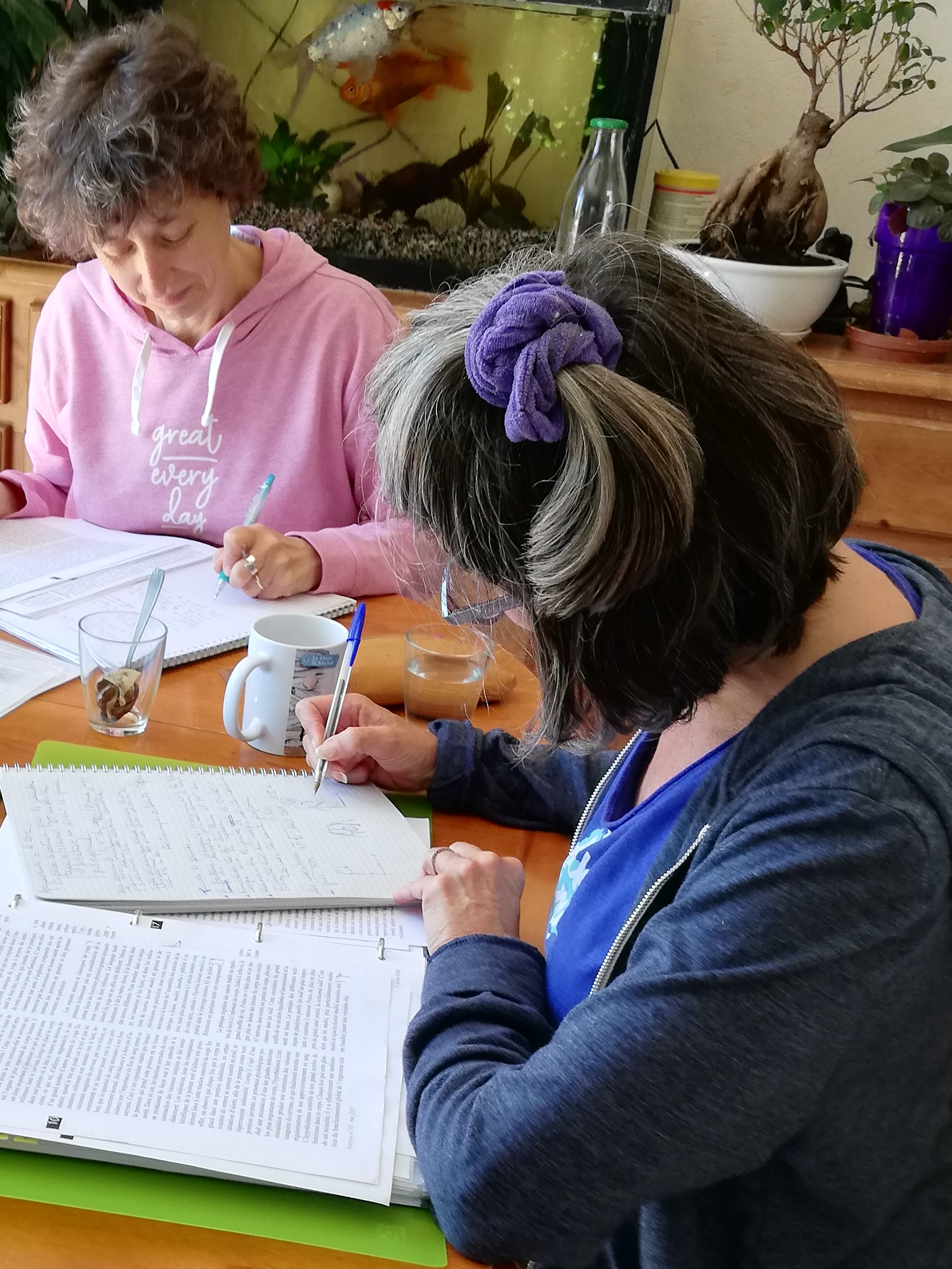 Cours collectifs de yoga